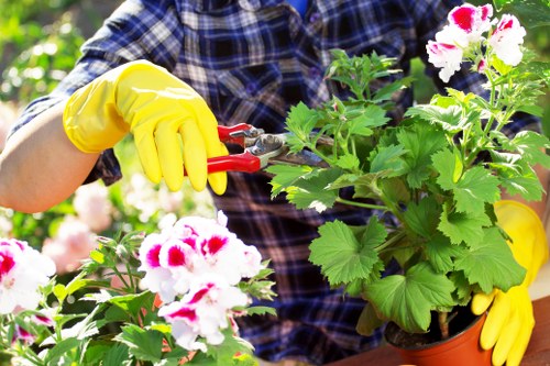 Gardener assessing a garden site for safety